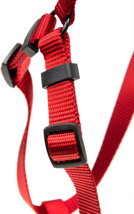 Productafbeelding Karlie Art Sportiv Plus Servies 1-2-3 Step and Go nieuwe universele kleuren Mix and Match (M, Hond, Loop)
