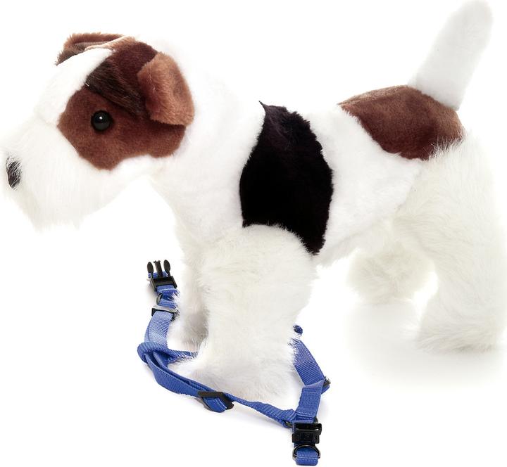Productafbeelding Karlie Art Sportiv Plus Servies 1-2-3 Step and Go nieuwe universele kleuren Mix and Match (M, Hond, Loop)