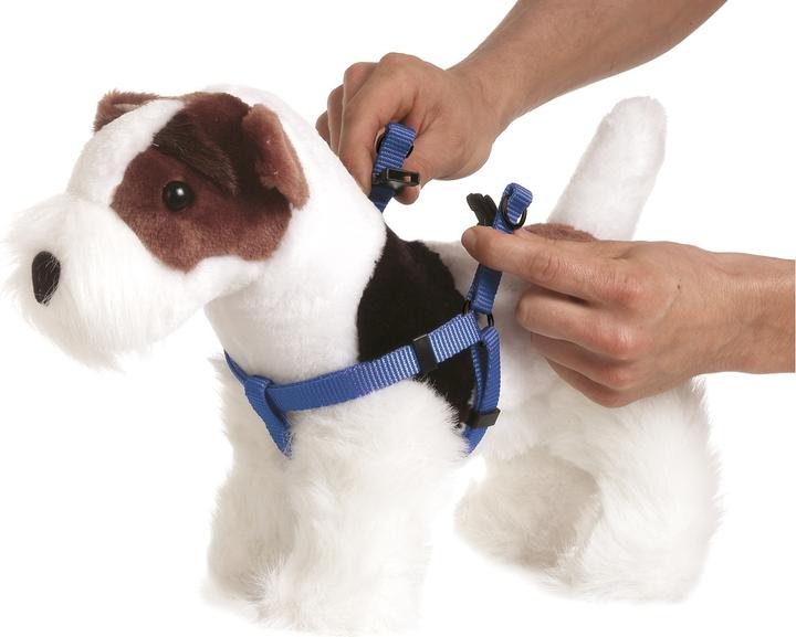 Productafbeelding Karlie Art Sportiv Plus Servies 1-2-3 Step and Go nieuwe universele kleuren Mix and Match (M, Hond, Loop)