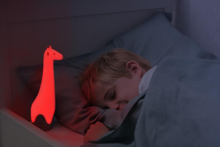 Produktbild ZaZu Goodnight Buddie