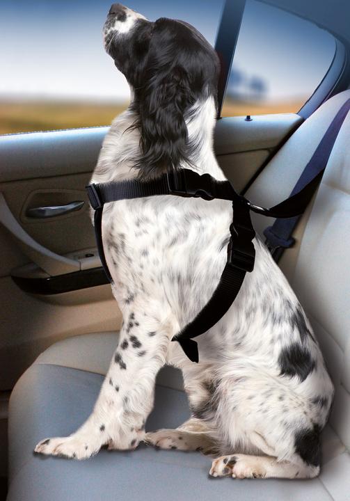 Produktbild Karlie Auto-Hundegeschirr (Hund, Faltbar, Abschliessbar)