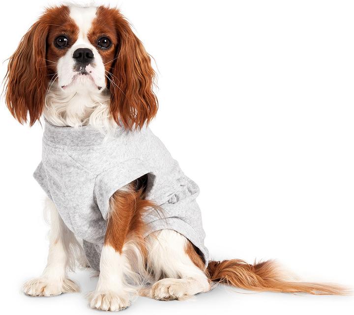 Image du produit Karlie Safety Body pour chiens, gris (26, Combinaison pour chien)