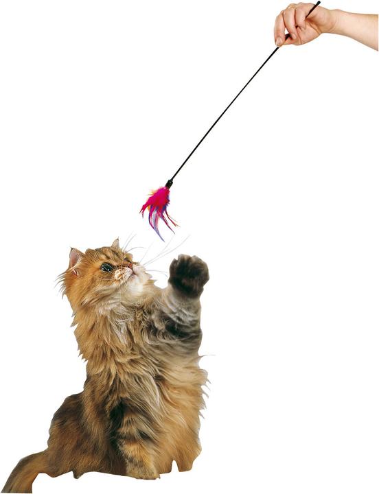 Produktbild Karlie Federwedel (Ballspielzeug Katze)