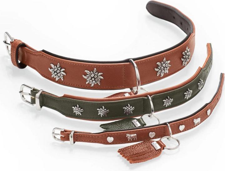 Produktbild Hunter Halsband München für Hunde 55 (Hund, Allgemein)