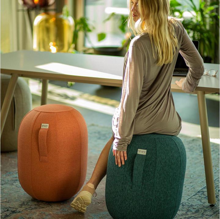 Image du produit Vluv Kapsul Stov (43.50 cm)
