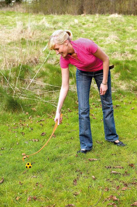 Produktbild Karlie Softball Launcher (Plüschspielzeug Hund)