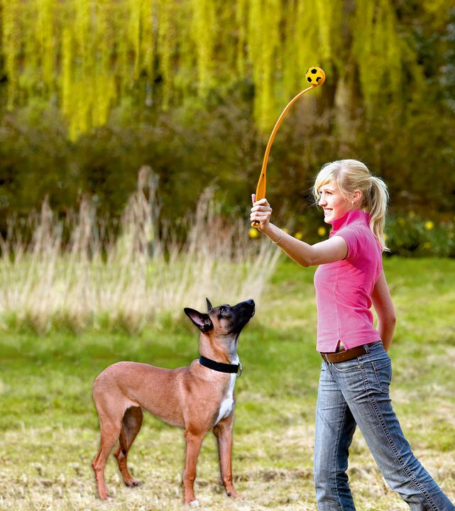 Produktbild Karlie Softball Launcher (Plüschspielzeug Hund)