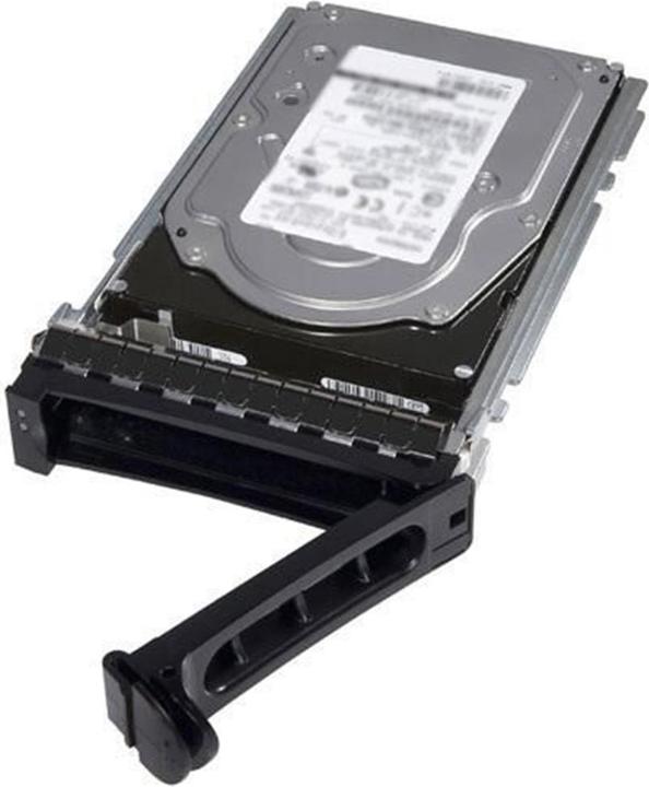 Dell HD 2T NL6 7.2K 3.5 T-MST E/C (2 TB, 3.5")