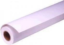 Produktbild Epson Presentation Matt Paper, 24" x 25 m (172 g/m², 2500 cm, 61 cm)