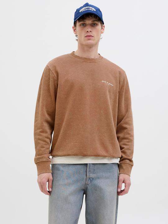 Immagine prodotto Jack & Jones Jjedover Print Sweat Crew Neck (XL)