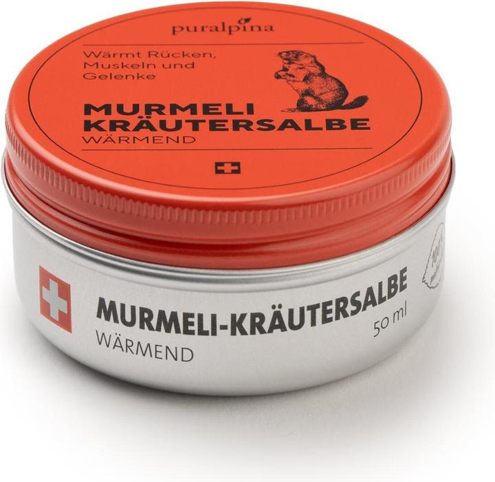 Produktbild Puralpina Murmeli Kräutersalbe (1 x, 50 ml, 60 g)