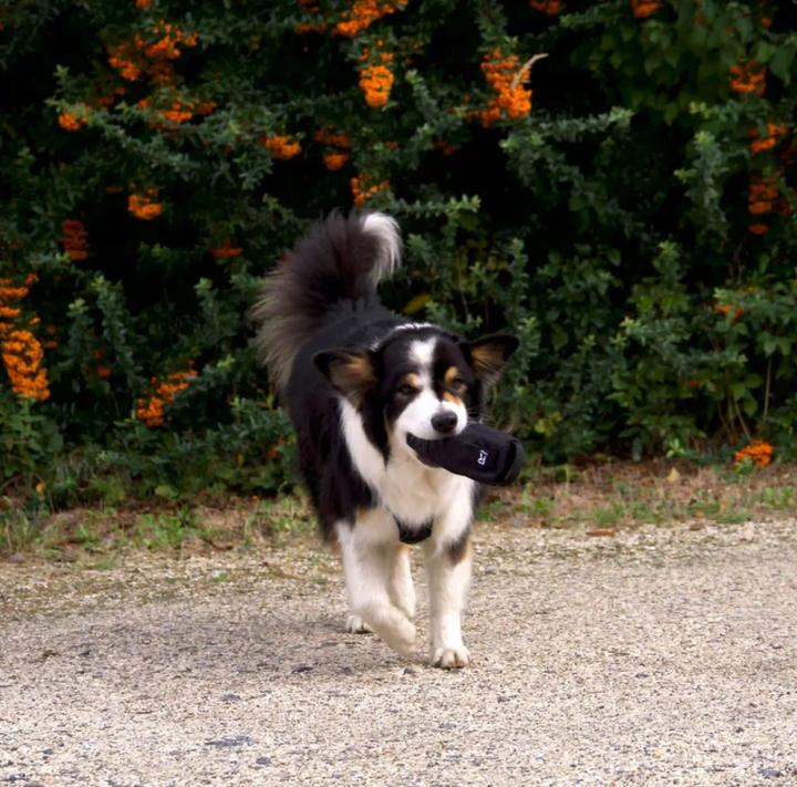 Produktbild Redoggo Futterdummy (Snackbeutel Hund)