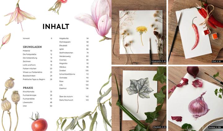 Produktbild Botanicals – Naturmotive in Aquarell