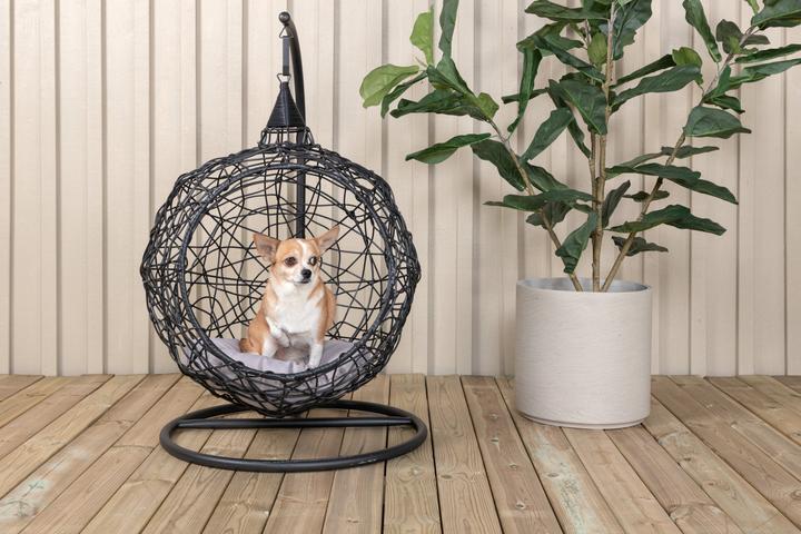 Produktbild Venture Home Lexi (12 kg)