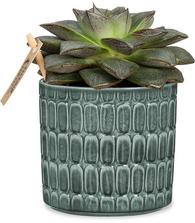 Produktbild Scheurich Lagom (19 cm)