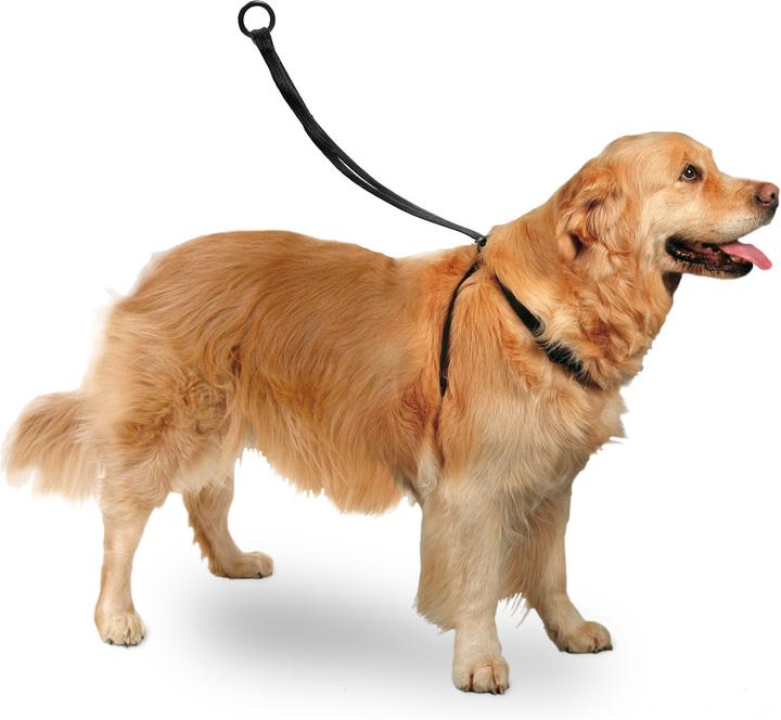 Actual product image Karlie Easy Walker (M, Dog, Walks)