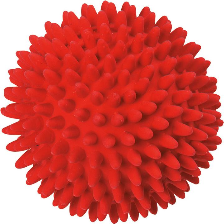 Actual product image Karlie Hedgehog Ball (Ball toy dog)