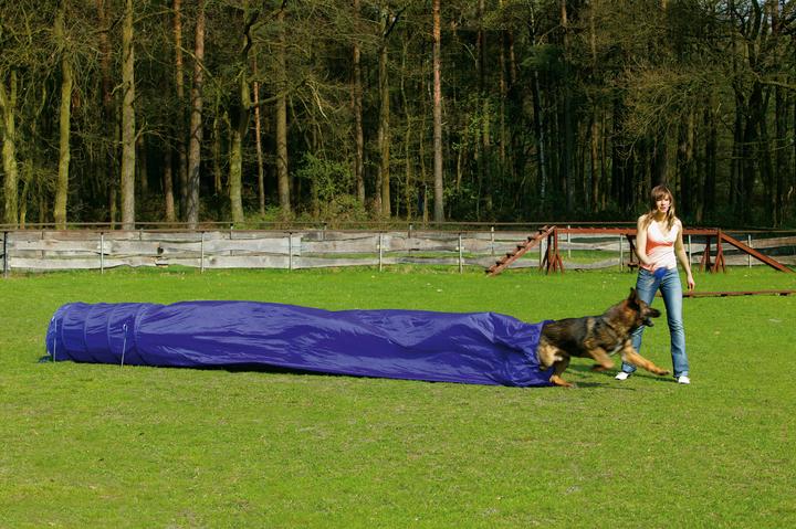 Karlie Tunnel d'agilité avec sac (Agility)