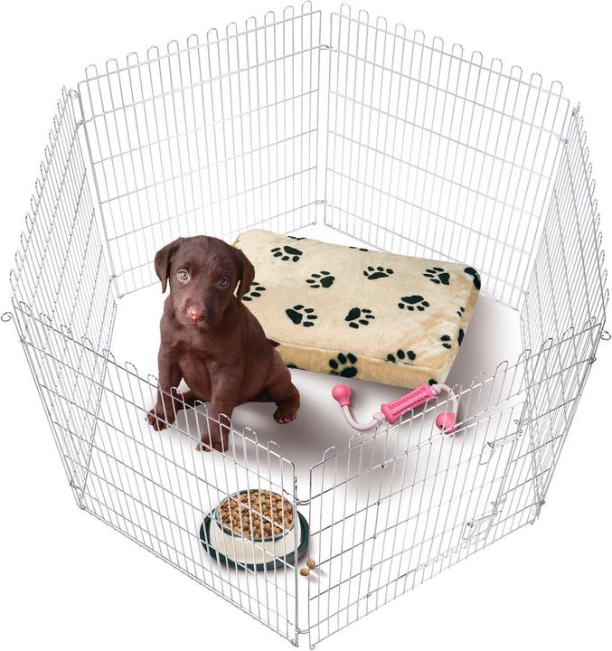 Karlie Course de chiots