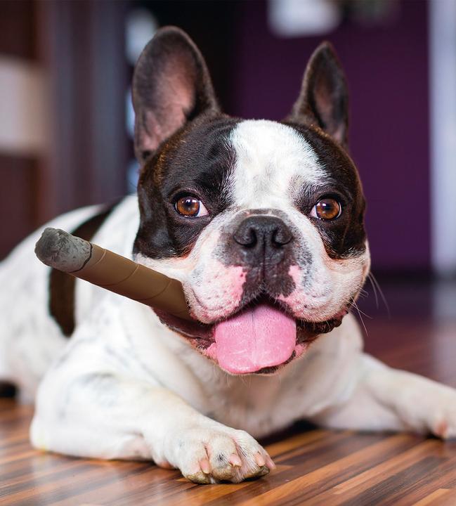 Actual product image Karlie Display latex toy cigar (Dog chew toy)