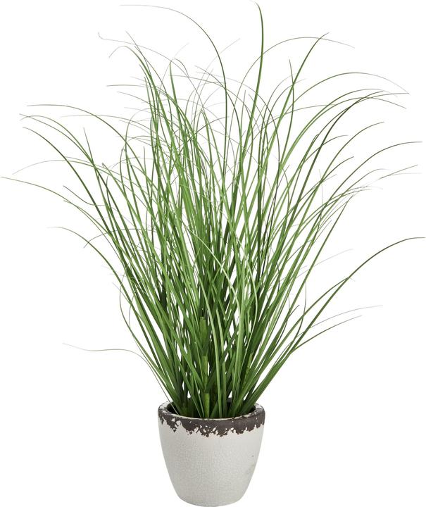 micasa Fleur (50 cm)