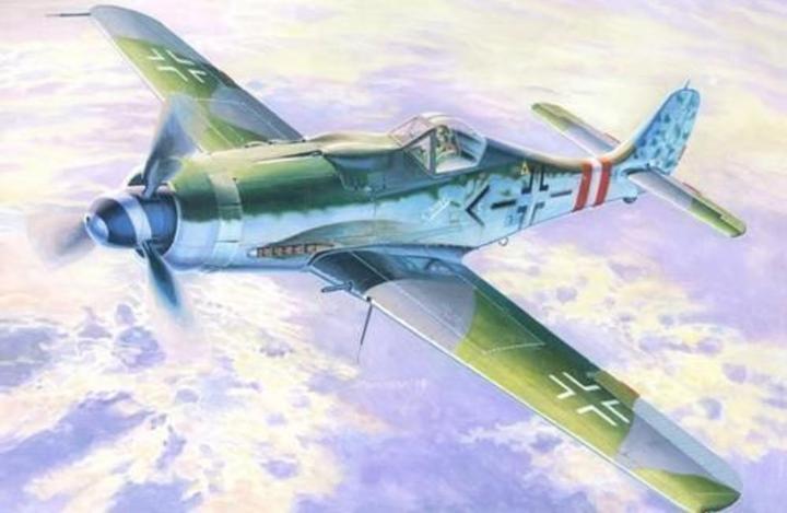 Actual product image MeisterCraft Fw-190D-9 Long Noses