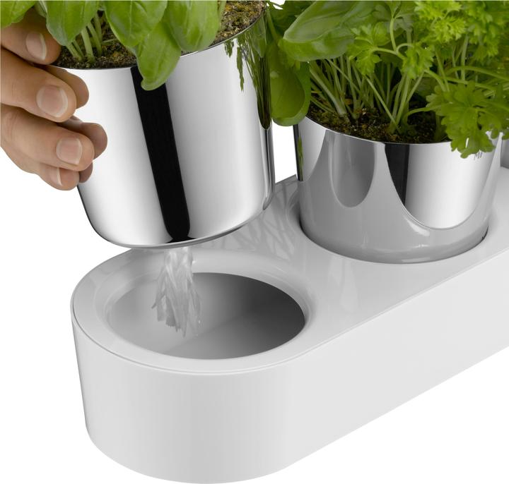 Image du produit WMF Jardin aromatique (14 cm)