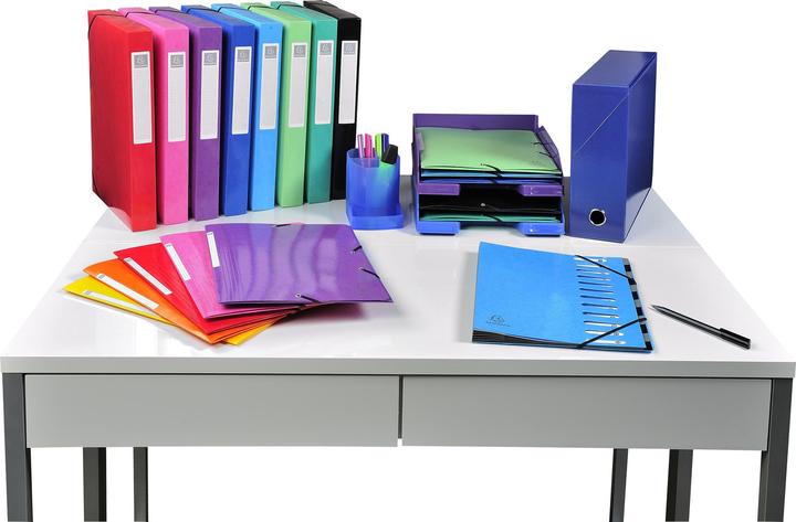 Actual product image Exacompta Collection folder with elastic band (A4, 1 x)