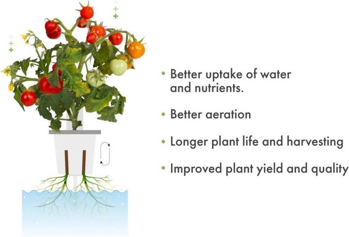 Actual product image Click and Grow Pro Plant Cups 9 pack (SGAPCX9)