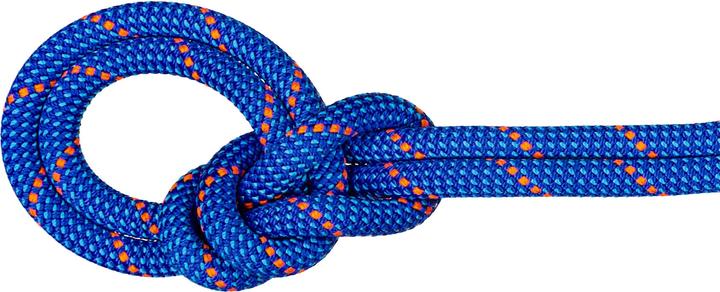 Mammut Kletterseil 9.5 Crag Dry Rope 80 m (80 m)