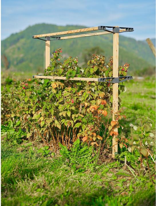 Productafbeelding Gusta Garden BERRY BUDDY modulaire bruine bessenhouder (93 cm, 11.90 cm)