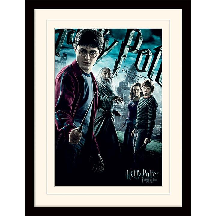 Harry Potter Mounted Print (40 x 30 cm)