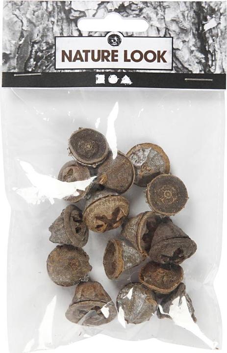 Actual product image Creativ Company Eucalyptus fruit