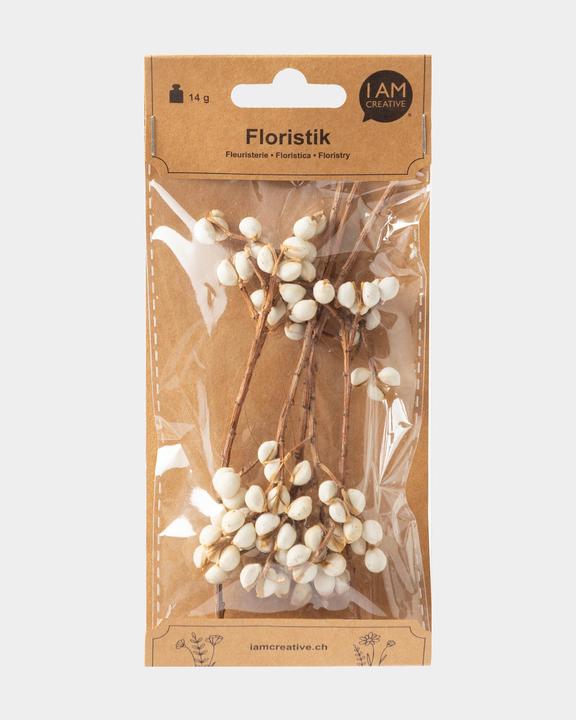 I Am Creative Trockenblumen Deko Frucht (Trockenblumen)