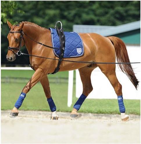 Actual product image Passier Gymnastic reins Horst Becker