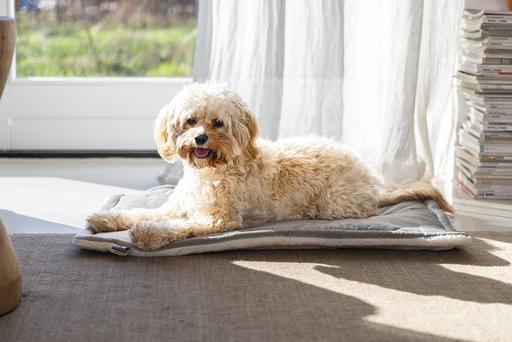 Actual product image Designed by Lotte Nalino (Dog)