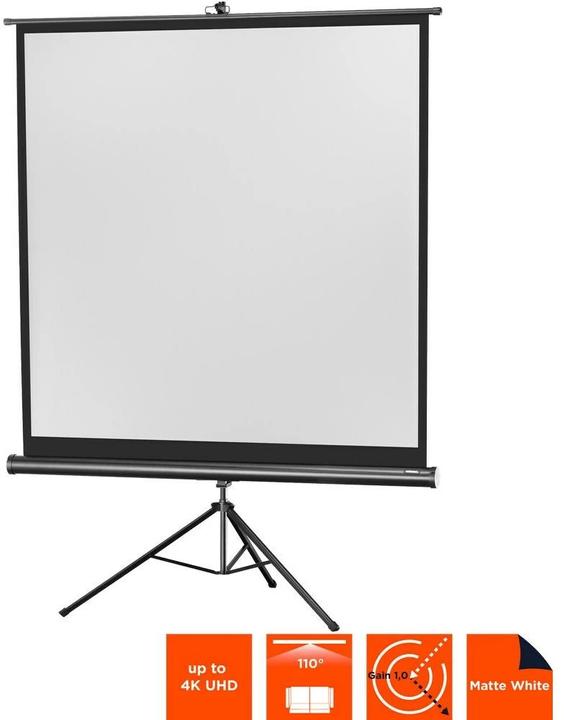 Actual product image Celexon Eco tripod, screen, 1:1 (86.22", 1:1)