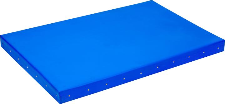 Image du produit Sport-Thieme Tapis de lancer du poids en intérieur (25000 g)