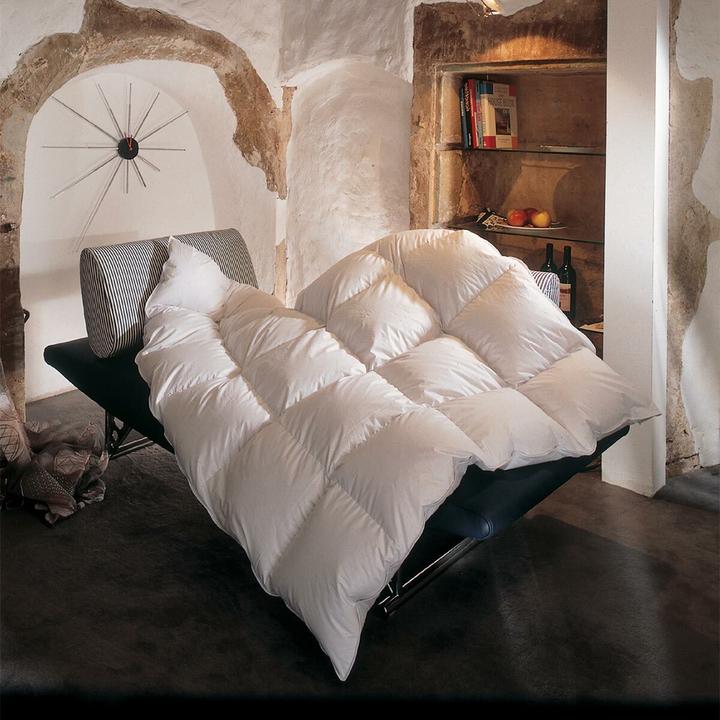 Actual product image BettwarenShop Toronto (880 g, 155 x 200 cm)