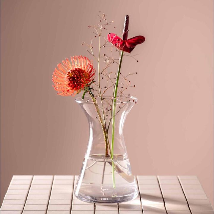 Actual product image Leonardo Vase Gia 23 cm, Transparent (1 x, 16 x 16 x 23 cm, 5.63 l)