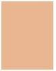 Image du produit Estée Lauder Double Wear Stay-In-Place (1W2 Sable)