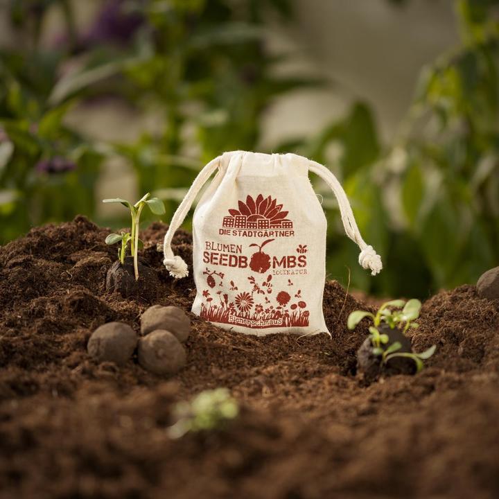 Actual product image Die Stadtgärtner Seed bombs bee feast (Flower seeds)