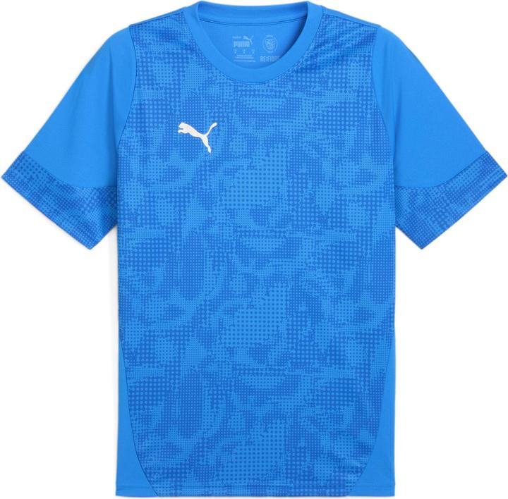 Puma teamCUP Training Jersey