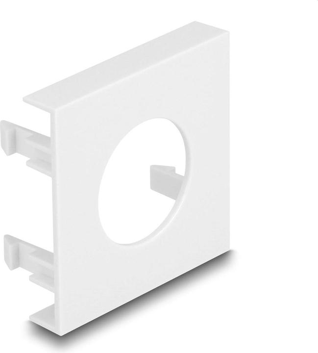 Delock Easy 45 copertura del modulo foro di taglio Ø 24 mm, 45 x 45 mm 5 pezzi bianco (Montaggio a parete)