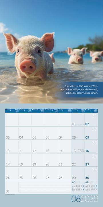 Actual product image Alles wird gut! Kalender 2026 - 30x30 (30 x 30 cm, Hardcover, French, English)