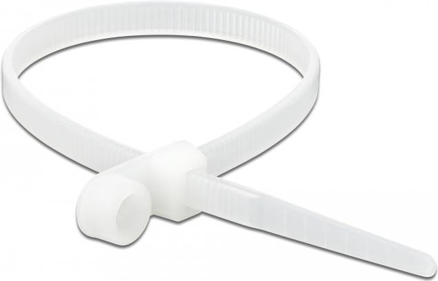 Image du produit Delock Cable tie avec oeillet de fixation (160 mm, 10 pcs)