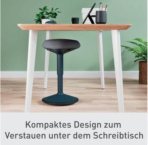 Immagine prodotto Leitz Ergo Active