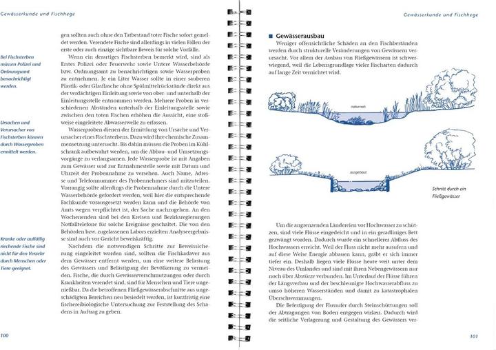Produktbild Arbeitsbuch Fischerprüfung (Deutsch, LV-Buch, Manfred Hammer, Michael Möhlenkamp, Ernst Heddergott, 2015)
