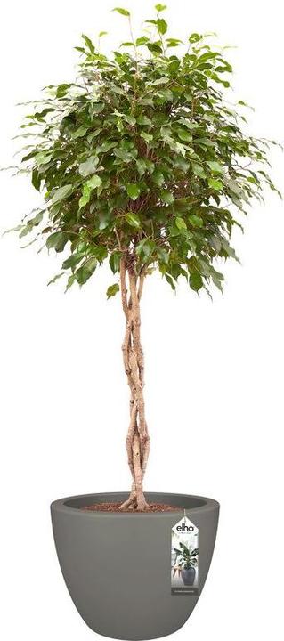 Image du produit Elho Pure Soft (49 cm)