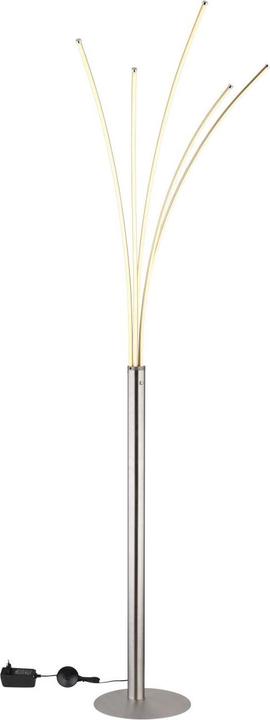 Actual product image Globo Bizzy